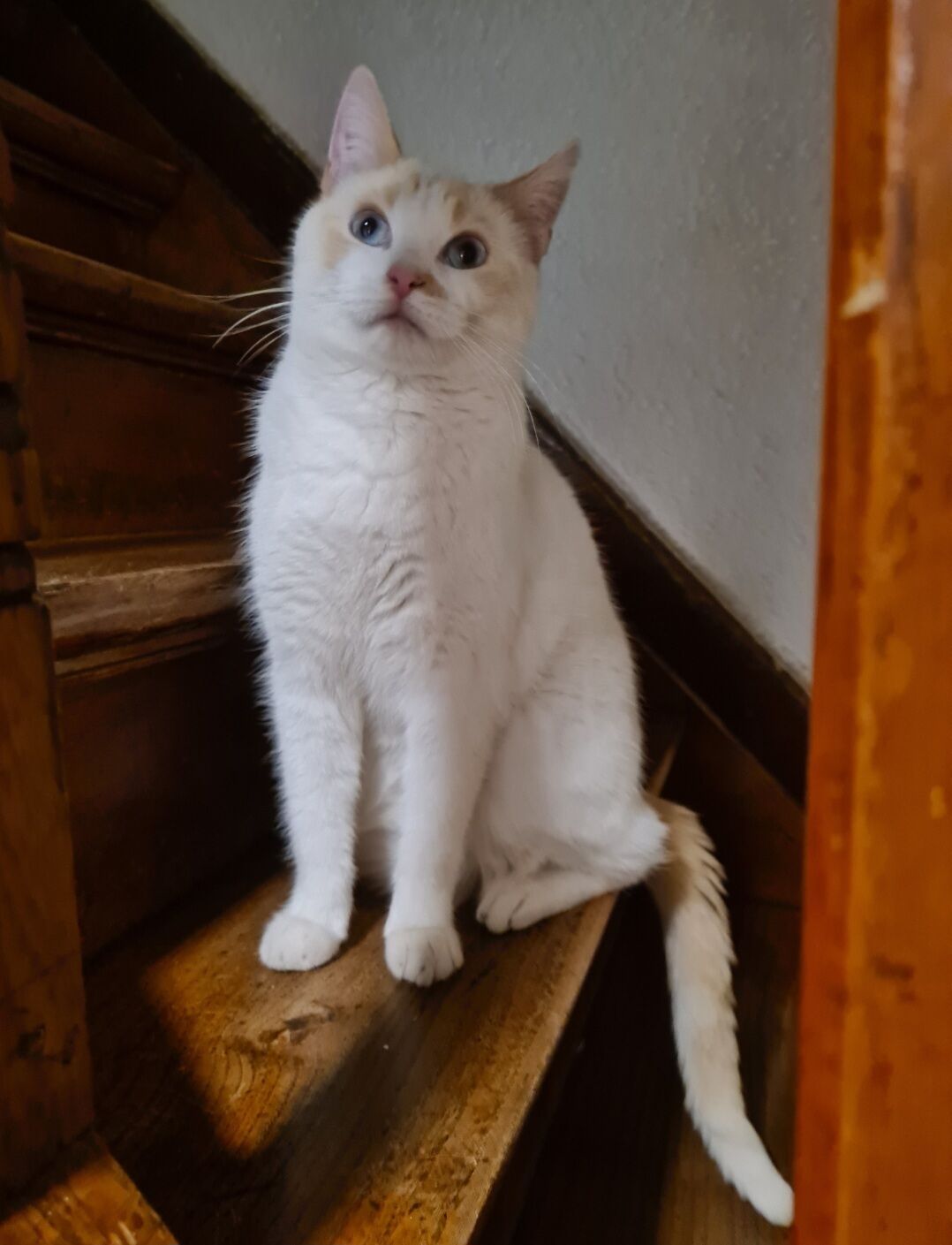 69a57b787dab8 screenshot 20260302 123611 gallery