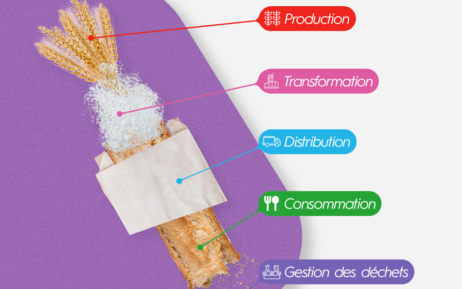 Découvrez les métiers de la chaîne alimentaire avec la MELT ! 
