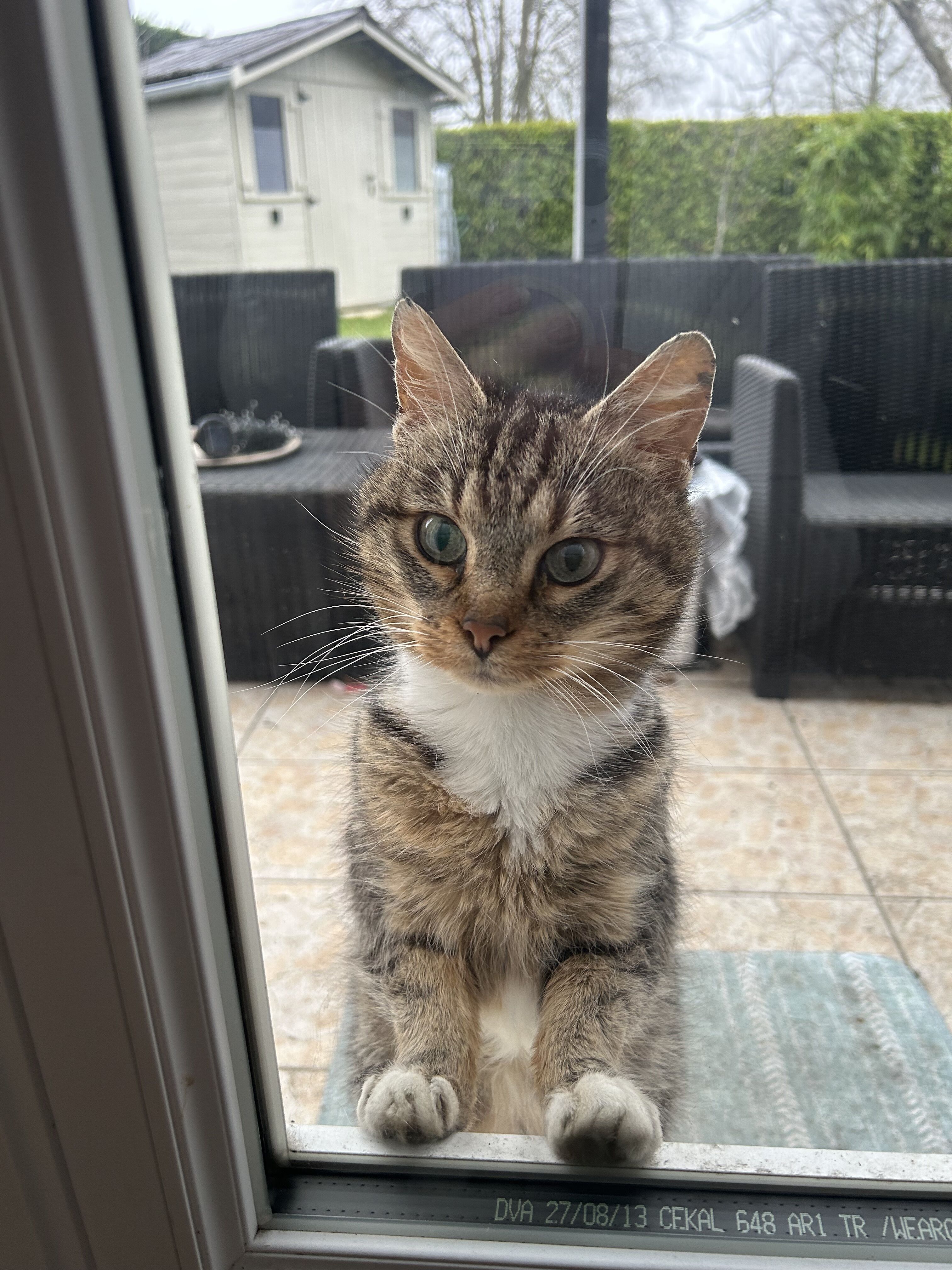 69907430c7b07 img 0323