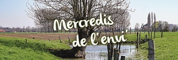 mercredis_de_lenvi_d08f4