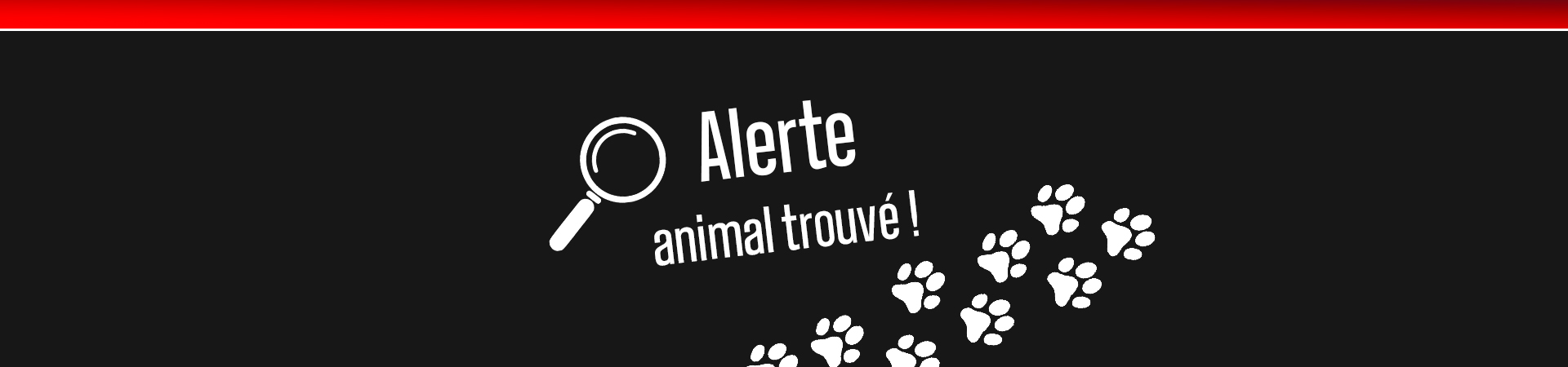bandeau animaL trouve