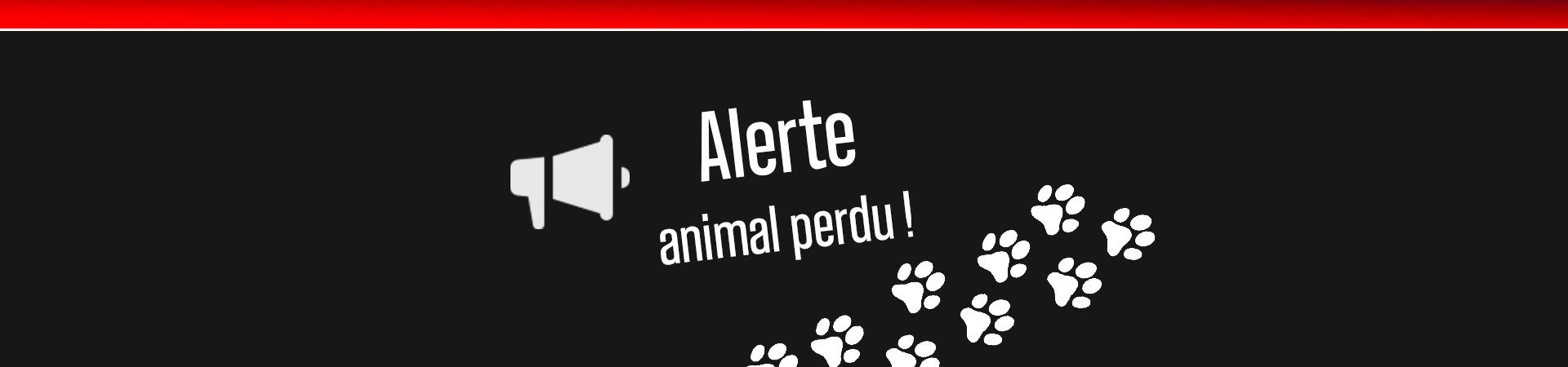 bandeau animal perdu